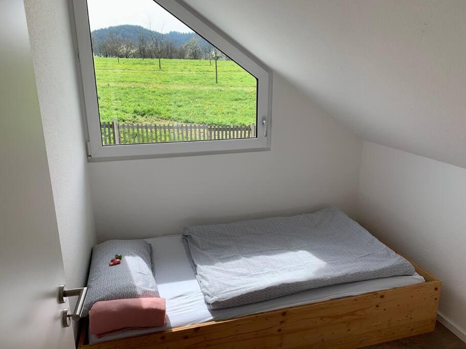 Wohnung Am Fusse Des Schwarzwalds Оберкирх Екстериор снимка