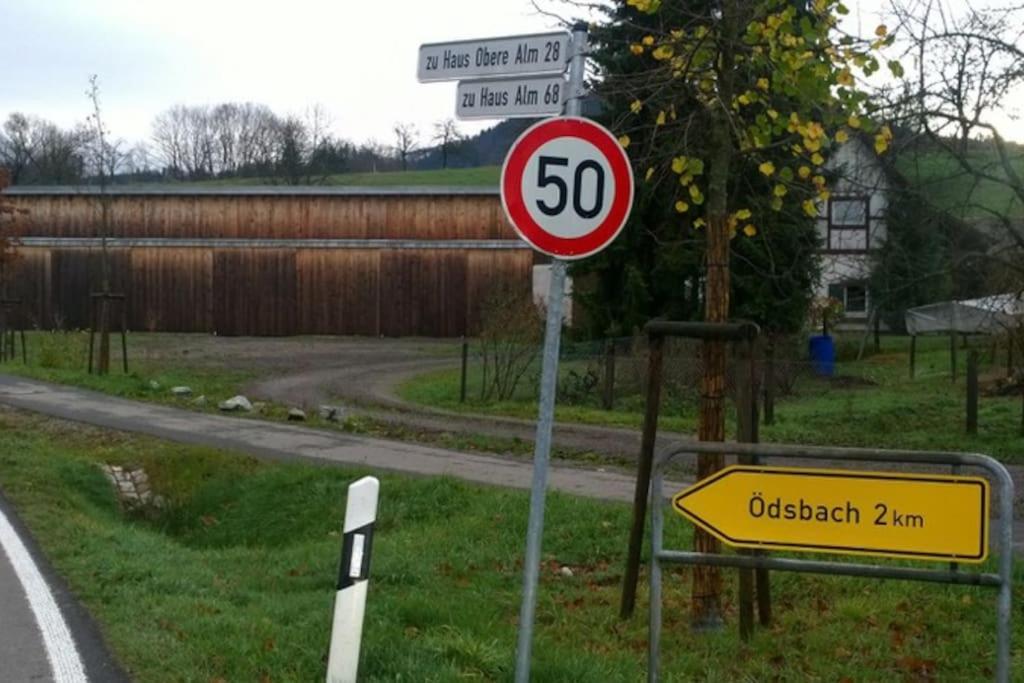 Wohnung Am Fusse Des Schwarzwalds Оберкирх Екстериор снимка