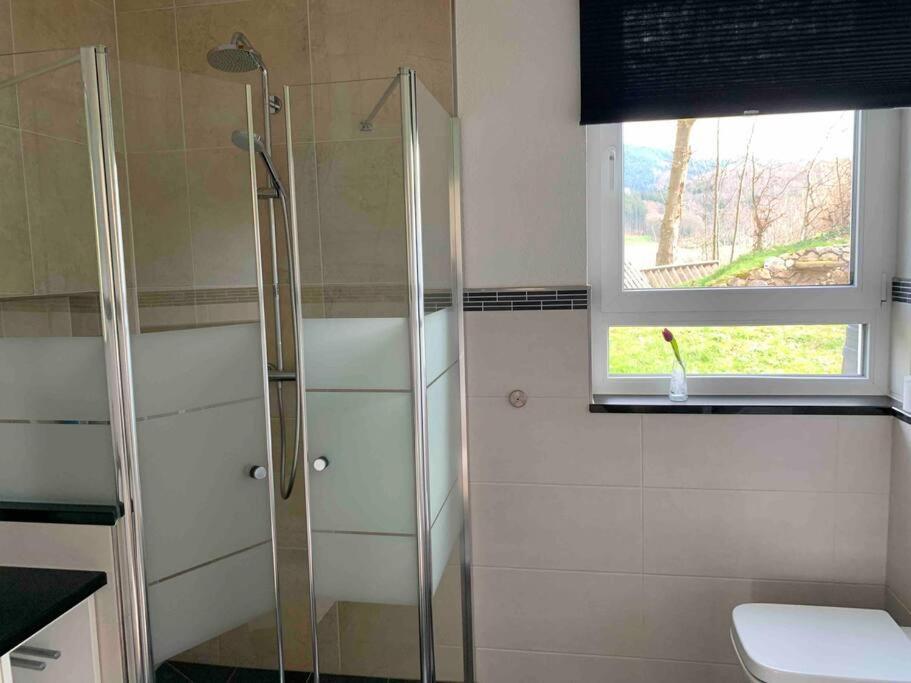 Wohnung Am Fusse Des Schwarzwalds Оберкирх Екстериор снимка